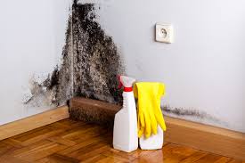 Best Residential Mold Inspection & Testing in Merrifield, VA